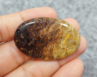 Versteinerter Palm Wurzel Achat Oval Form Cabochon, Lose Edelstein Palm Wurzel Achat Cabochon, Palm Wurzel Edelstein, Schmuck Stein, Handwerk