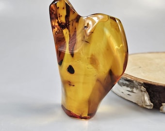 Raw Baltic Amber Stone with Insect Inclusion, Fossil Gemstone