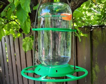 Tui Bellbird Waxeye Nectar Feeder