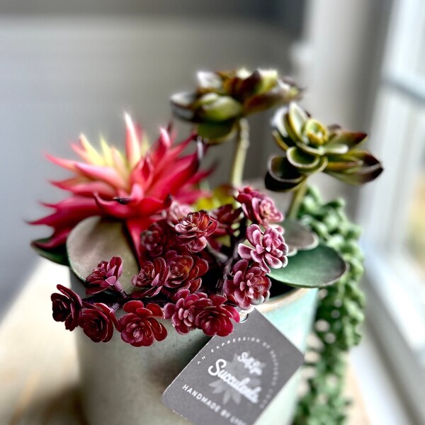 Faux Succulent Arrangement - Etsy