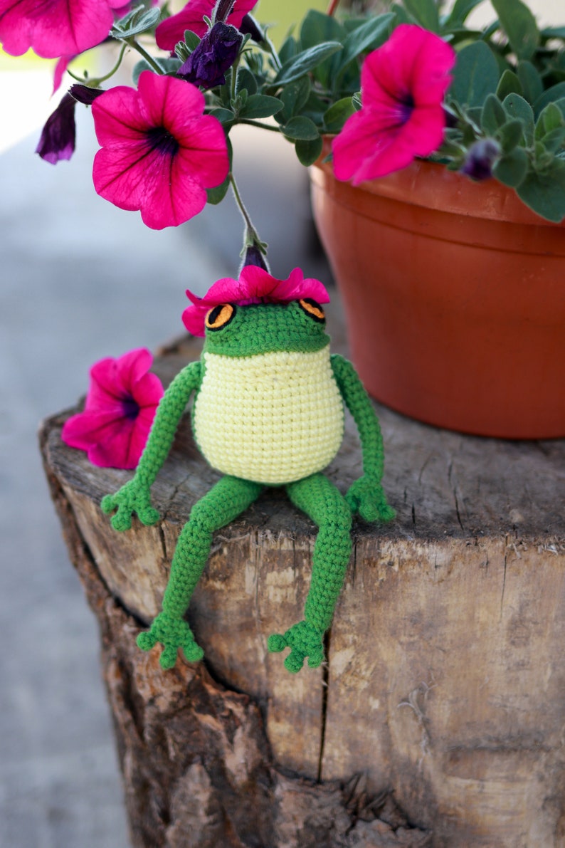 Crochet pattern Frog Toad PDF amigurumi tutorial cute froggy amigurumi body frog pattern image 4