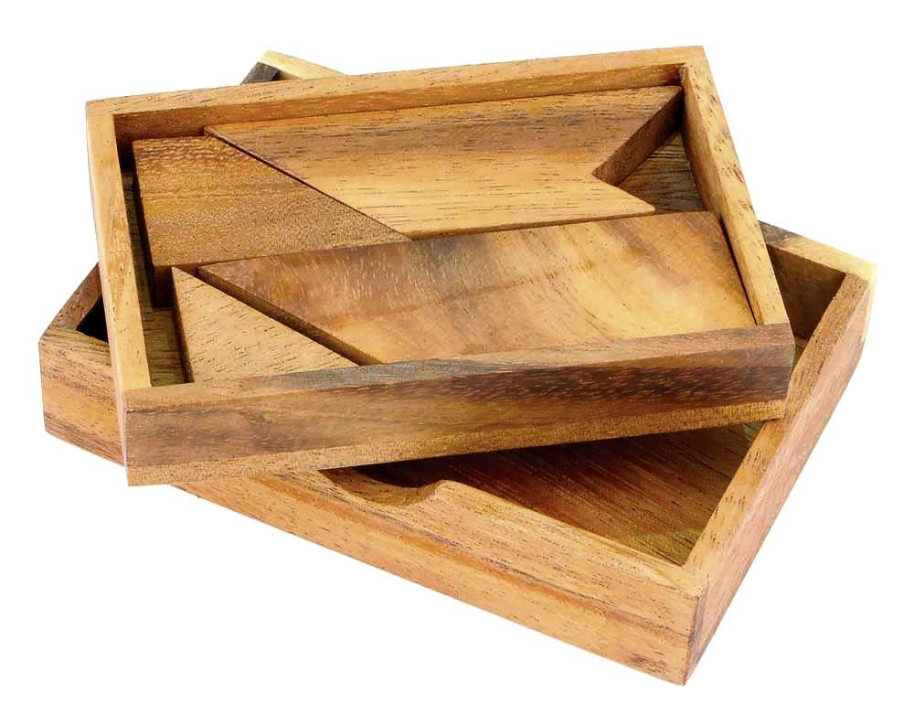 T Puzzle - 100 Puzzles in 1 - Wooden Brain Teaser - Mind