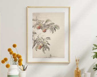 Vintage Apfel Botanische Illustration Kunstdruck, Obst Wanddekor, Rustikale Bauernhaus Wandkunst, Küchen Kunstdruck, Botanische Kunst Poster