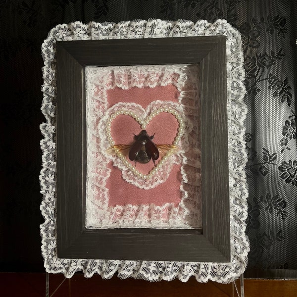 Marco con forma de corazón en blanco y rosa con diseño de escarabajo rinoceronte y marco con sombra de encaje