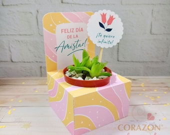 May include: A pink and yellow cardboard planter with a succulent plant inside. The planter has a card attached to it that says "Feliz dia de la Amistad!" and a small white circle with pink flowers that says "¡Te quiero infinito!"