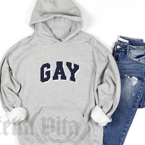 Minimalist LGBTQ Hoodie, University Type GAY Heavy Blend Hooded Sweatshirt,Pride hoodie, Classic GAY, Gap Gay Sweatshirt