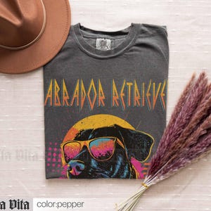 Puede incluir: Una camiseta gris oscuro con un gr&aacute;fico retro de un Labrador Retriever con gafas de sol. El texto "Labrador Retriever" est&aacute; impreso en una fuente audaz y colorida.