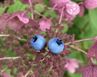 Clous d'oreilles myrtille, boucles d'oreilles baies réalistes