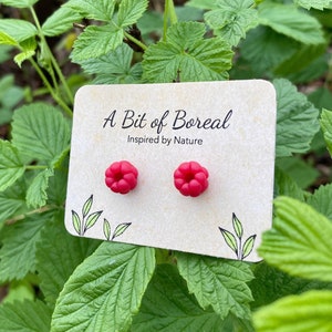 Peut inclure: Une paire de boucles d'oreilles clous en forme de framboise rouge sur une carte qui dit "A Bit of Boreal Inspired by Nature".