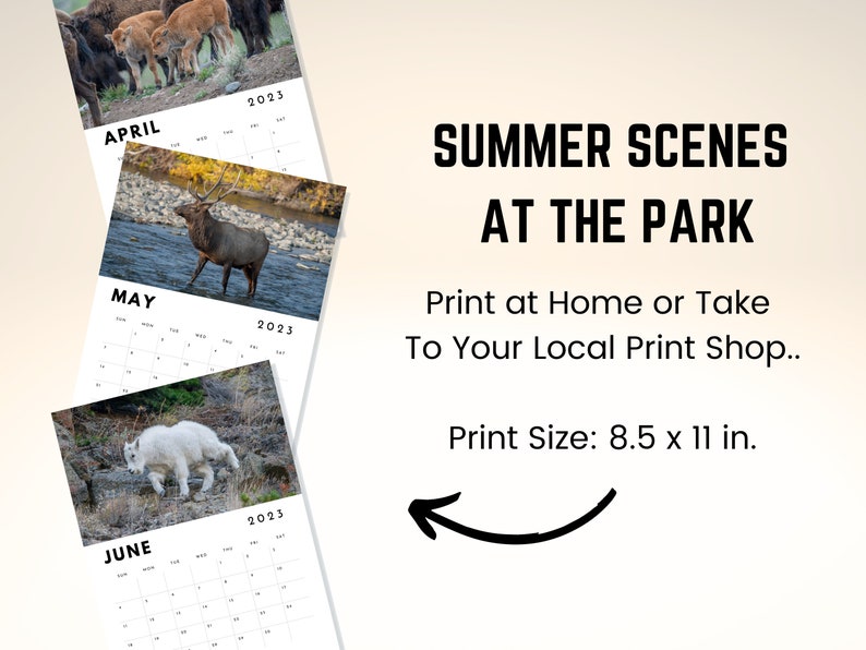 2023 Calendar Printable Yellowstone Calendar 2023 Calendar Etsy