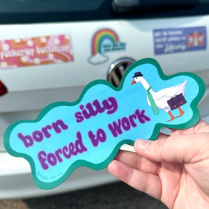 Imán para parachoques del ganso tonto nacido tonto obligado a trabajar