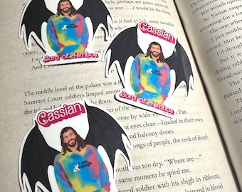 Cassian Lord of Himbos ACOTAR Sticker