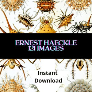 Ernst Haeckel Artistic Illustrations of Nature Collection 121 images Digital Download