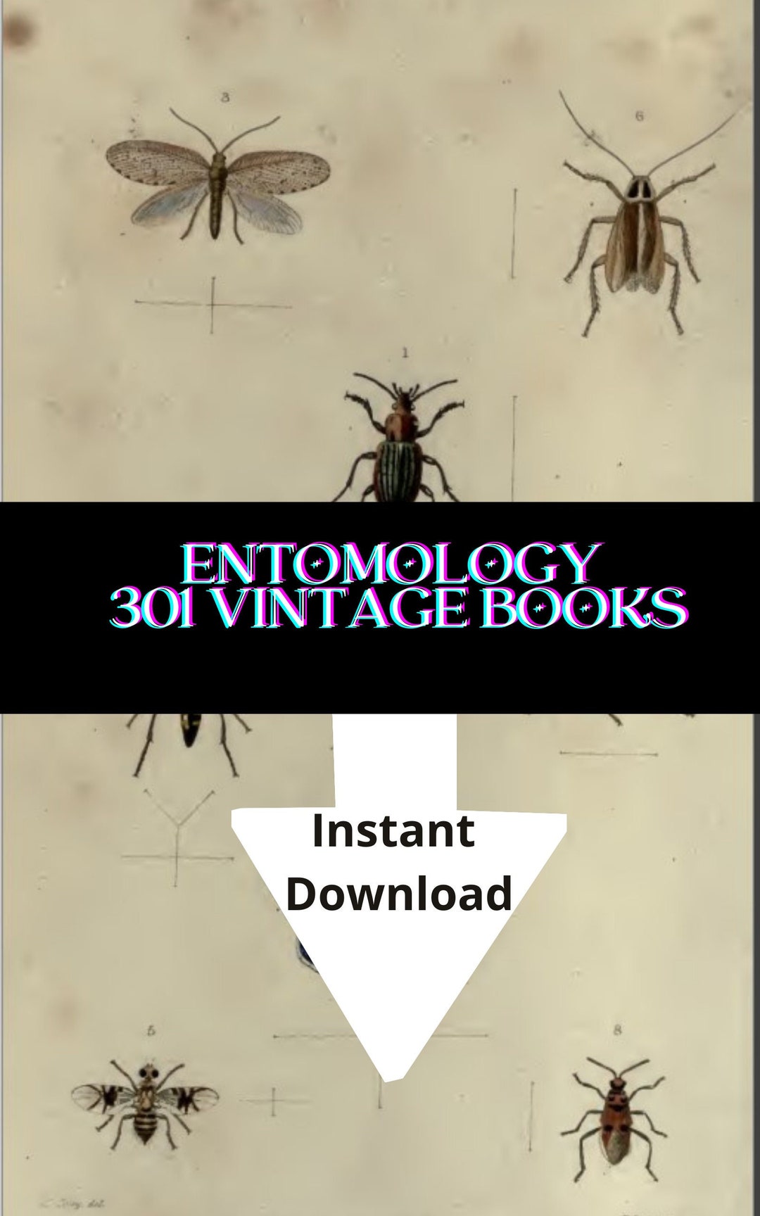Entomology 301 Vintage Books Collection Digital Download - Etsy