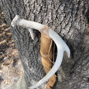 42.5” Natural SweetGum walking staff with deer antler