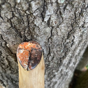 May include: A wooden walking stick with a decorative top made of red, brown, and white agate.