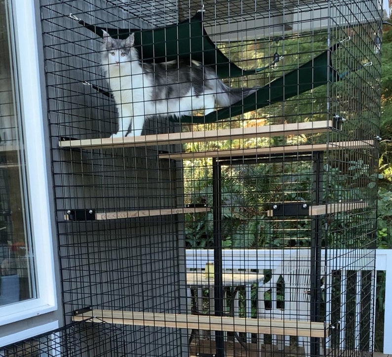 My Own Den Habitat Haven Catio Enclosure Standard & Petit image 4