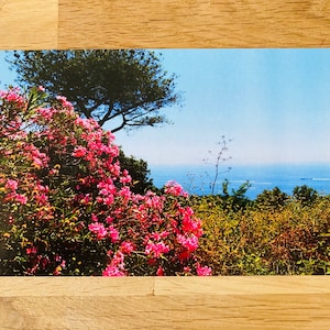 Carte postale Naples en été