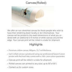 May include: Rolled canvas print, ready to be stretched. Premium cotton canvas, 340gsm, 15.7 mil thickness. Printed with archival inks, comes with a 100+ year color guarantee. Rolled in a tube for shipment. Can be printed up to 60"x100".