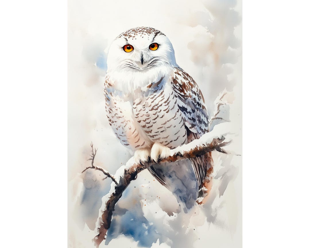 Owl Painting White Owl Art Print Snowy Forest Watercolor Poster - Etsy