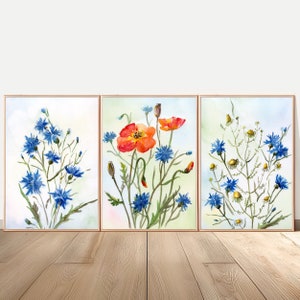 Cornflower Art Wildflower Large Print Poppy Cornflower Daisy Watercolor Painting Set of 3 Prints
