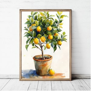 May include: Watercolor painting of a potted lemon tree with green leaves and yellow lemons. The tree is in a terracotta pot and there is a single lemon on the ground next to the pot.
