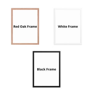 Framed Poster Options For Any SINGLE Print from the SHOP