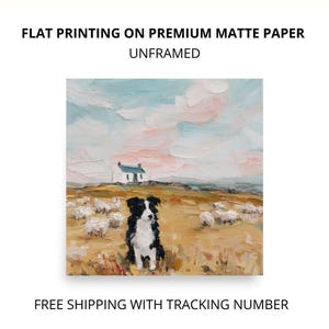 May include: A square art print on premium matte paper featuring an oil painting of a black and white border collie sitting in a golden field with sheep and a small white cottage under a soft pink and blue sky. Text reads FLAT PRINTING ON PREMIUM MATTE PAPER UNFRAMED.