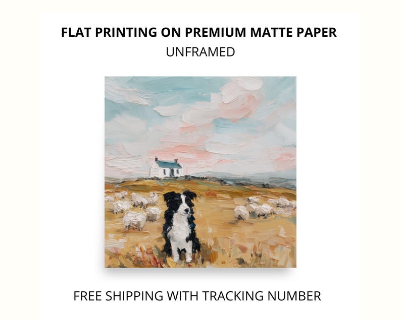 May include: A square art print on premium matte paper featuring an oil painting of a black and white border collie sitting in a golden field with sheep and a small white cottage under a soft pink and blue sky. Text reads FLAT PRINTING ON PREMIUM MATTE PAPER UNFRAMED.