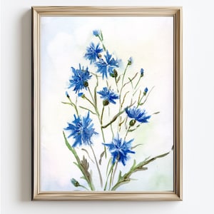 Cornflower Painting Wildflower Art Large Print Cornflower Watercolor Print Floral Artwork