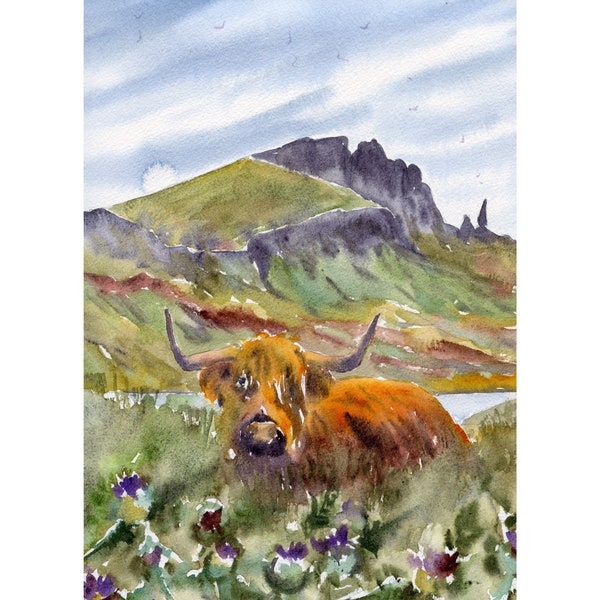 Art de vache écossaise, gros caractères, bétail des Highlands, impression d'Écosse, paysage rural écossais