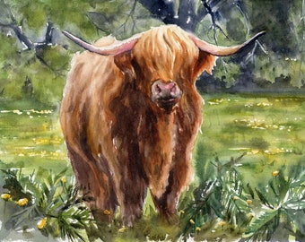 May include: A watercolor painting of a brown Highland cow standing in a field of green grass with yellow flowers. The cow has long, shaggy hair and a long, curved horn.