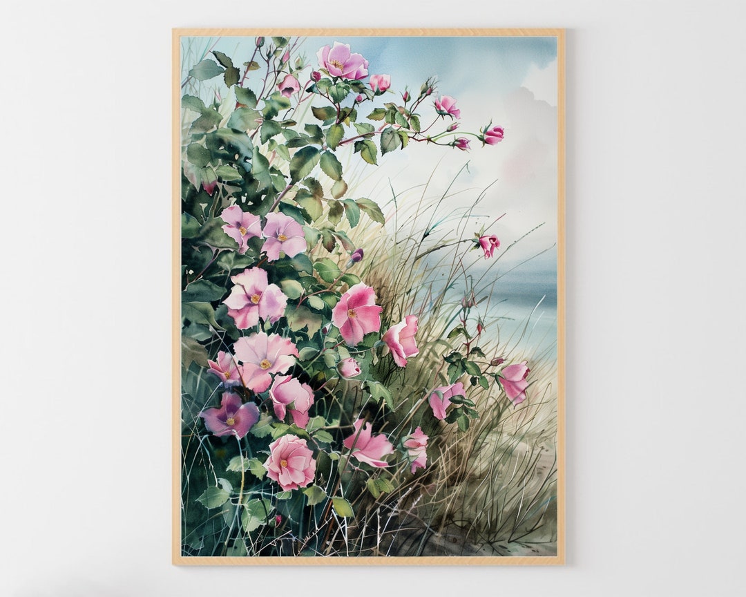 Cape Cod Beach Roses Cape Cod Art Wild Roses Beach Painting Print Watercolor - Etsy