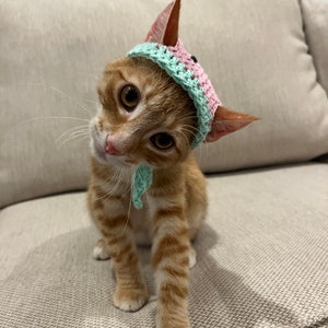 Cat Hat, Cat Costume, Fruit Cat Hats