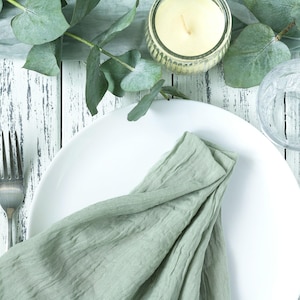 Tovaglioli da matrimonio verde salvia Tovaglioli per addio al nubilato Tovaglioli da tavola di Natale Tovaglioli per feste di compleanno Tovaglioli da matrimonio boho Tovaglioli da matrimonio rustici