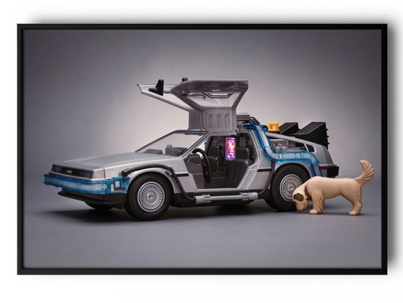 Playmobil Zurück in die Zukunft DeLorean