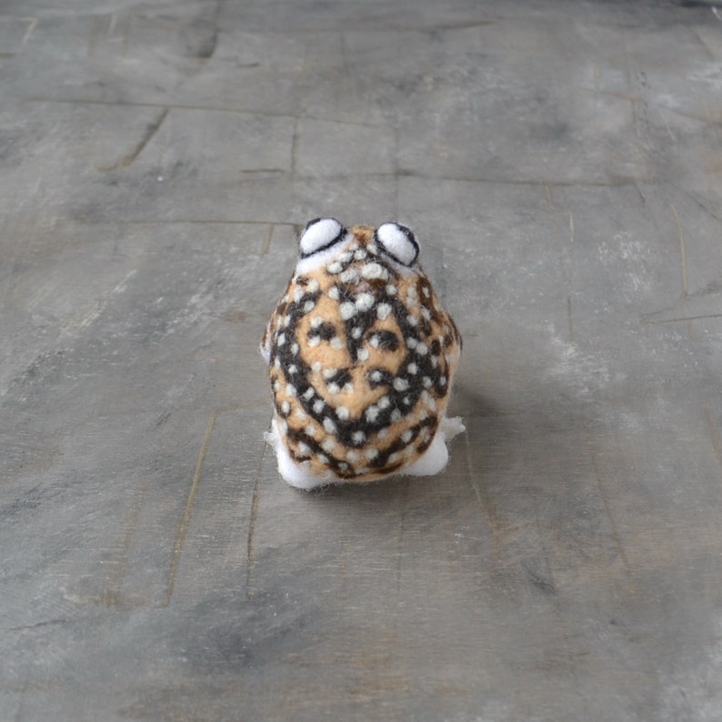 Rain-frog-figurine-Needle-felted-realistic-collectible-sculpture-Handmade-wool-miniature-animal-totem-back-side