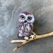 see more listings in the Felted bird brooch section