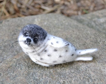 Cute seal collectible figurine Handmade needle felted realistic seal Wool miniature animal sculpture