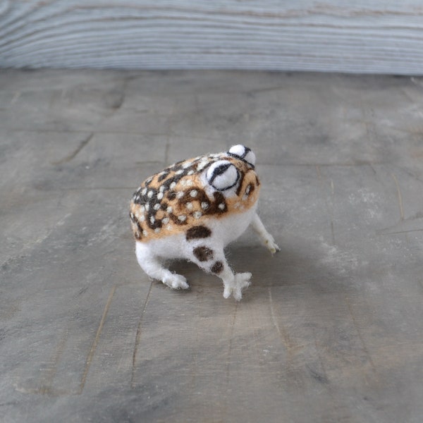 Rain frog figurine Needle felted realistic collectible sculpture Handmade wool miniature animal totem