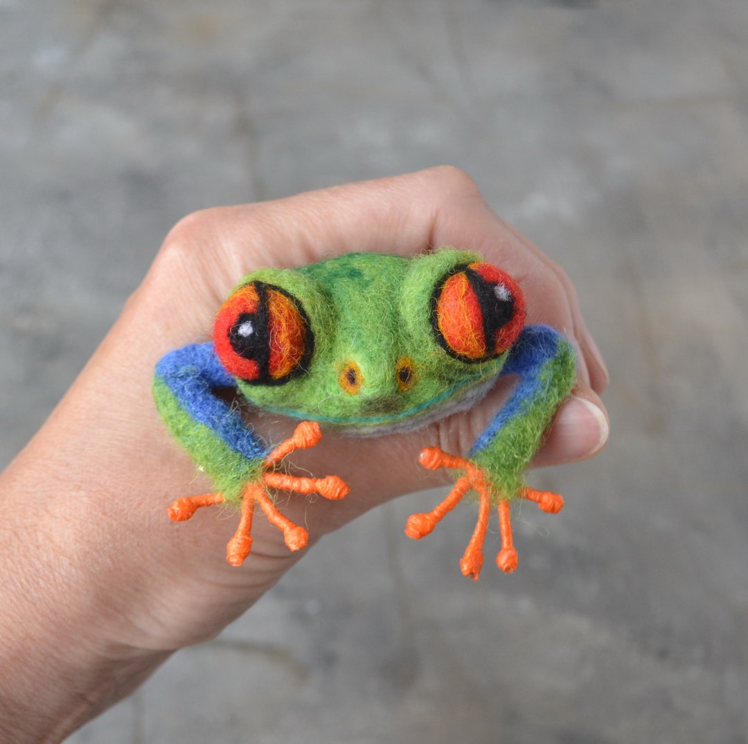 Cute Realistic Red Eyed Tree Frog Brooch Needle Felted Amphibian ...
