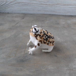 Rain-frog-figurine-Needle-felted-realistic-collectible-Handmade-wool-miniature-anima- totem