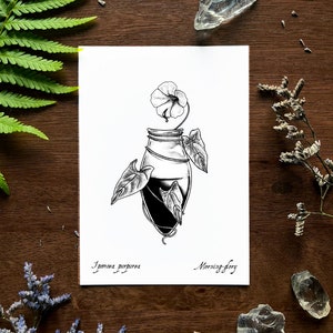 Morning Glory Elixir Art Print - Poison Art - Poisonous Plant - Witchy Art - Witchy Decor - Autumn Decor