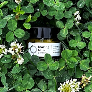 Healing Balm | Herbal Salve | Organic Ointment | Lip Balm | Dry Skin Remedy | Calendula, St. John&#39;s Wort, Got Kola, Aloe Vera Healing Balm