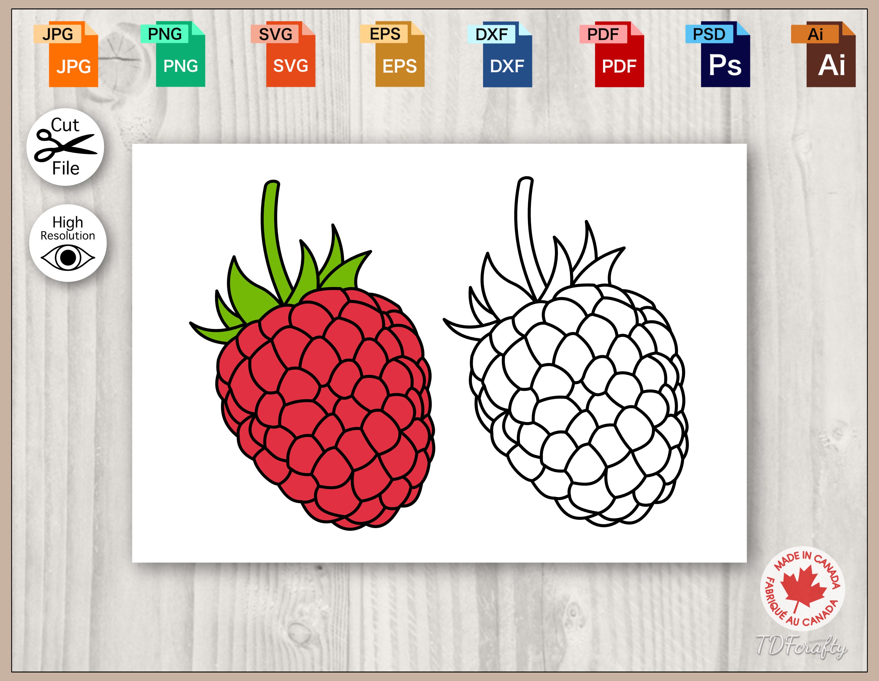 Raspberry Color and Outline Clipart, Fruity Berries Printable Set, Line ...