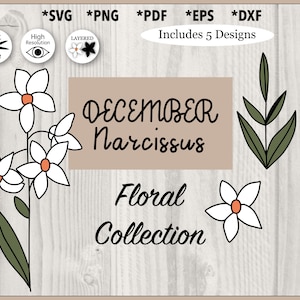 December Narcissus Flower Illustration Set svg, png, pdf, dxf, eps