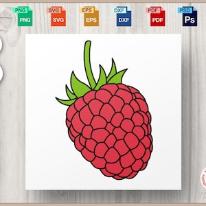 Puede incluir: Ilustración vectorial de una frambuesa roja con hojas y tallo verdes. La fruta roja tiene una superficie texturizada. Imagen digital ideal para proyectos creativos y de diseño.