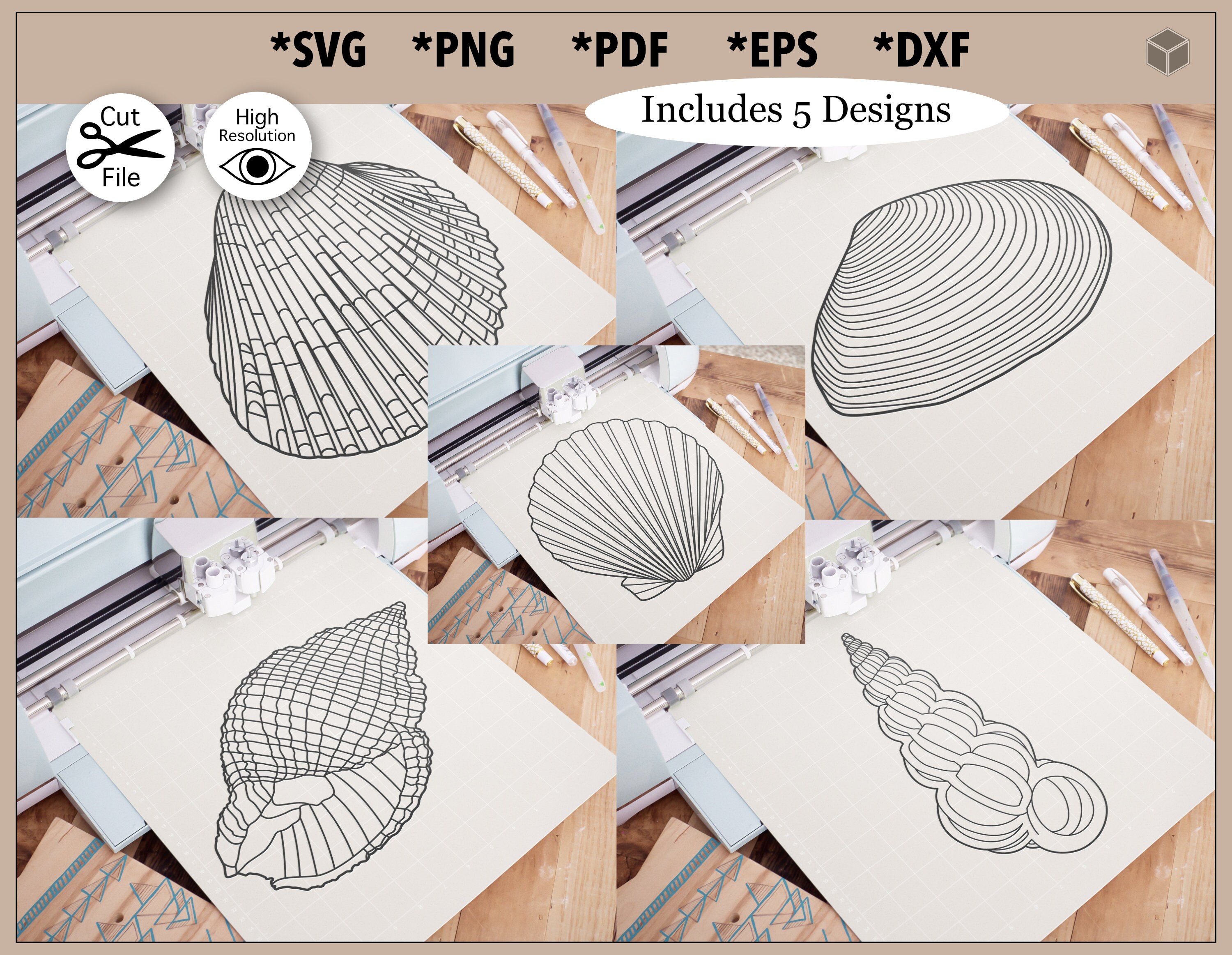 Seashell Line Art Illustrations, Seashell Graphic Design (svg, Png, Pdf ...