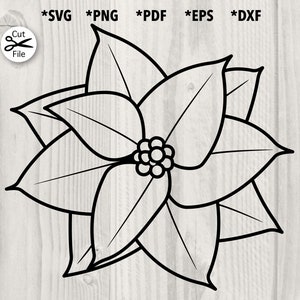 Contour de poinsettia, fleur festive, décoration de Noël, plante des fêtes, dessin au trait feuille, svg, png, pdf, dxf, eps
