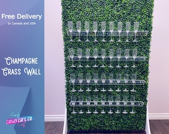 Grass Champagne Wall | Greenery champagne wall | Drink Wall | Clear shelf glass holder | Wedding decorations | treat wall